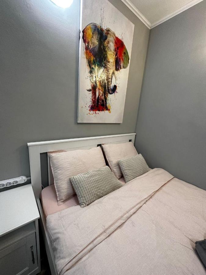 בוקרשט One Room Apartment Decebal מראה חיצוני תמונה