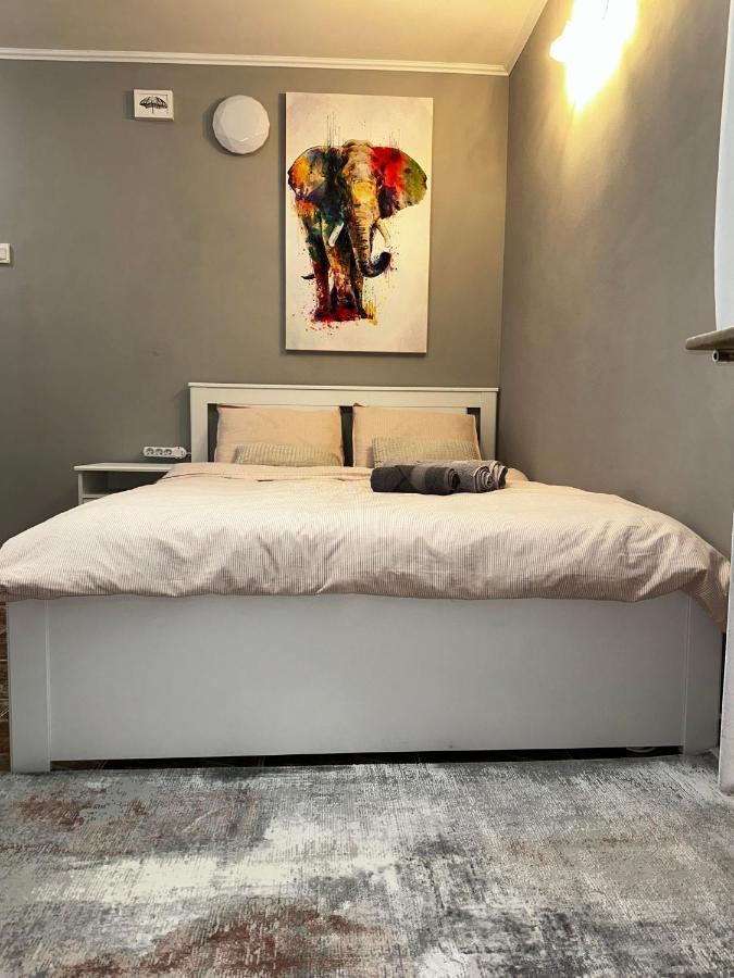 בוקרשט One Room Apartment Decebal מראה חיצוני תמונה
