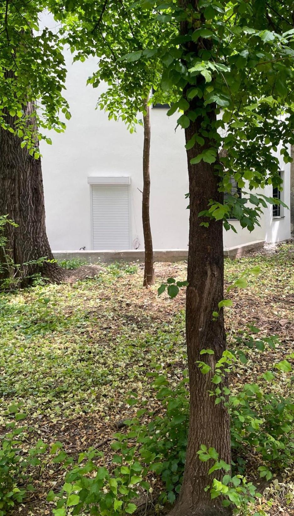 בוקרשט One Room Apartment Decebal מראה חיצוני תמונה